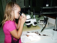 Les visites de l'Herbier permettent aux enfants de découvrir les métiers de la botanique © Sophie Gonzalez