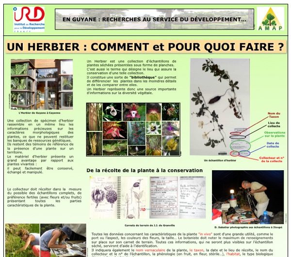 https://herbier-guyane.ird.fr/wp-content/uploads/2016/11/un-herbier-comment-et-pour-quoi-faire-2017-600x530.jpg
