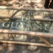 Journée de cohésion de l’équipe de l’Herbier IRD de Guyane